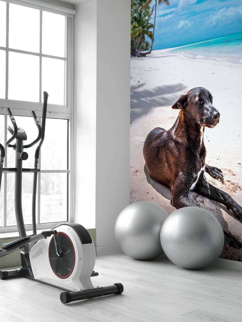 Chien noir sur une plage tropicale.