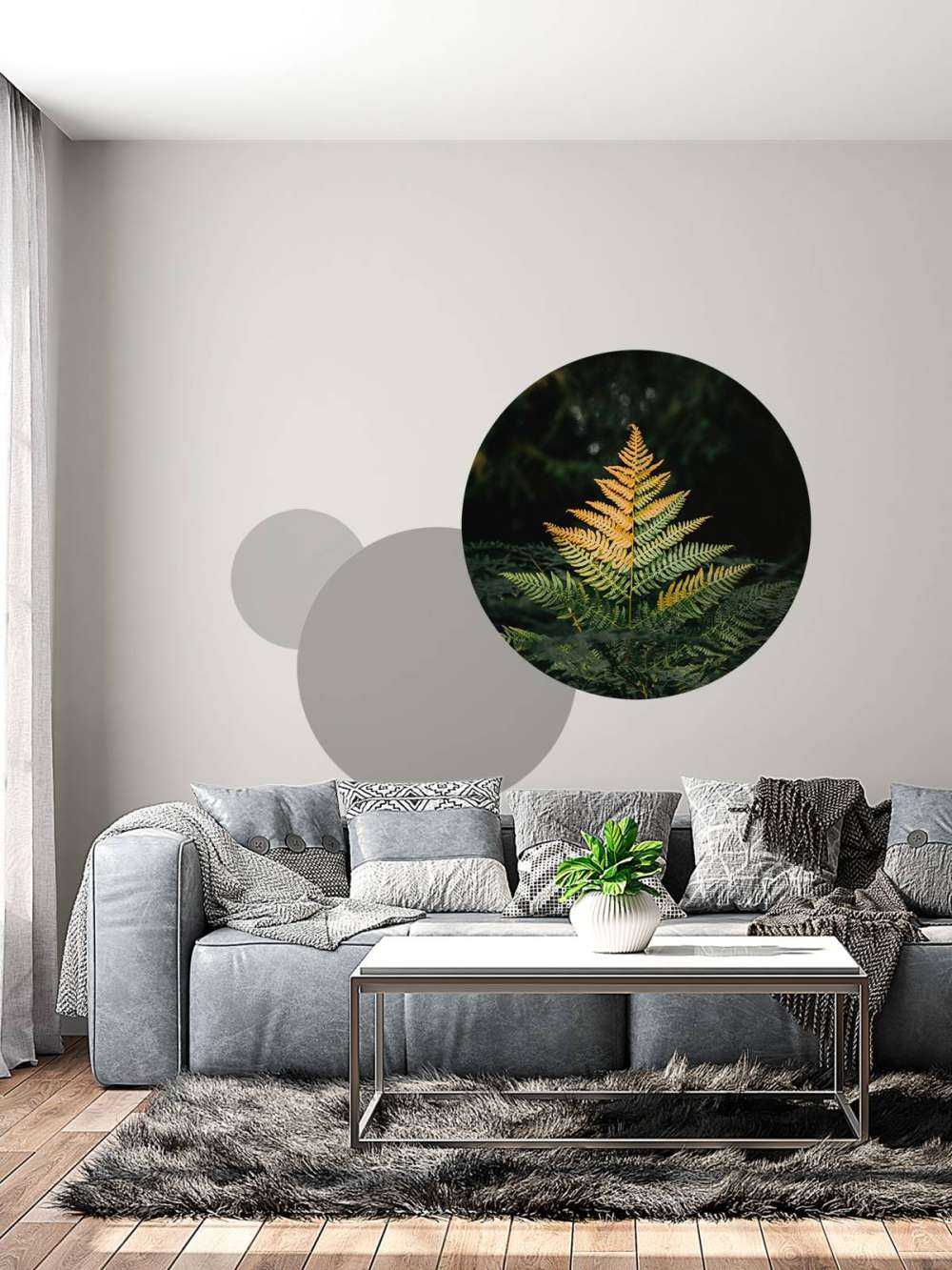 Fougère dorée dans l'ombre