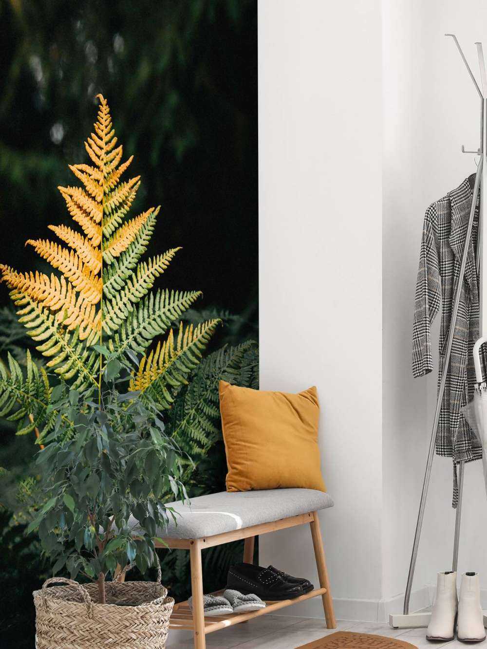 Fougère dorée dans l'ombre