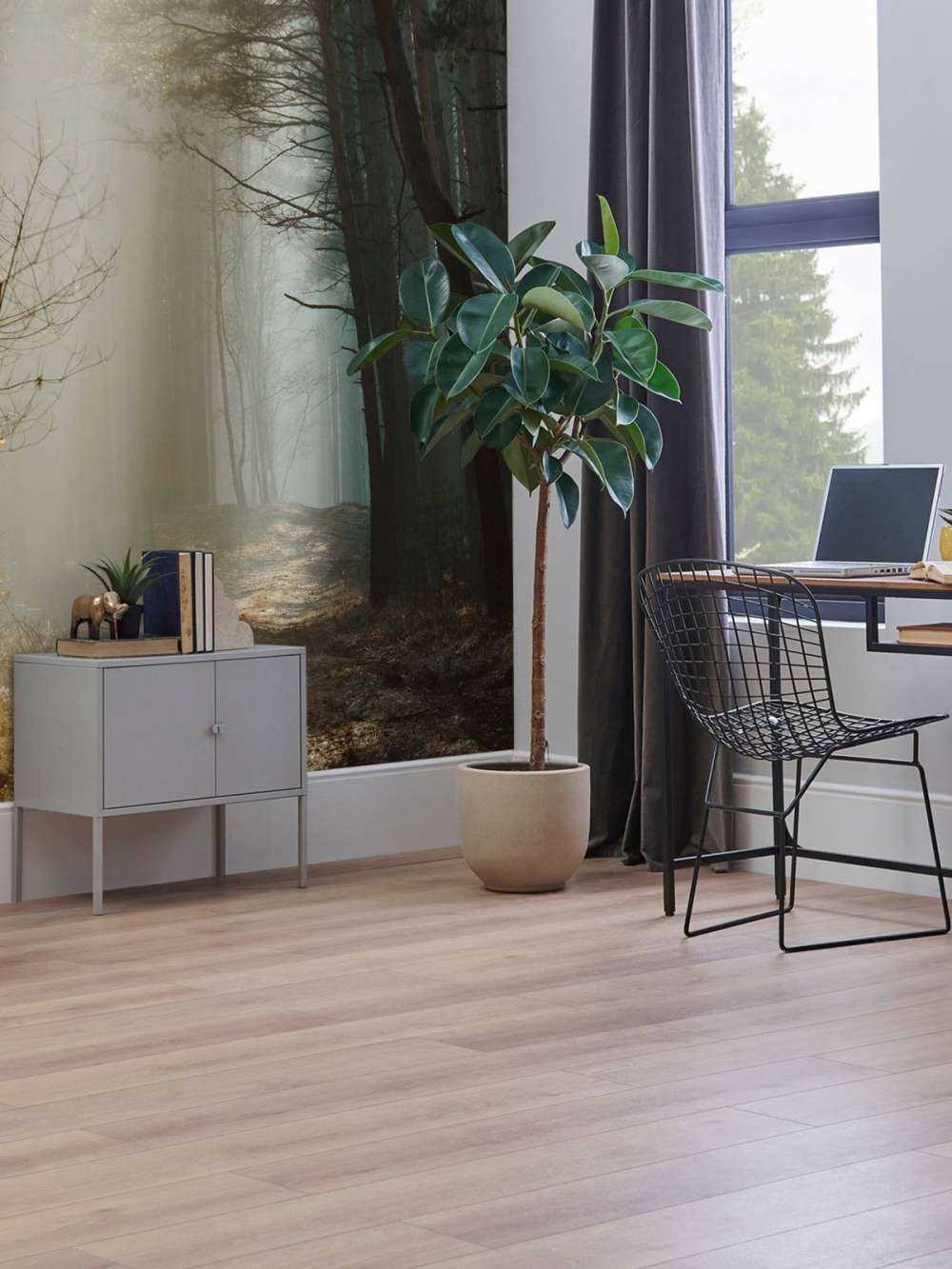 Rayons de lumière à travers la forêt