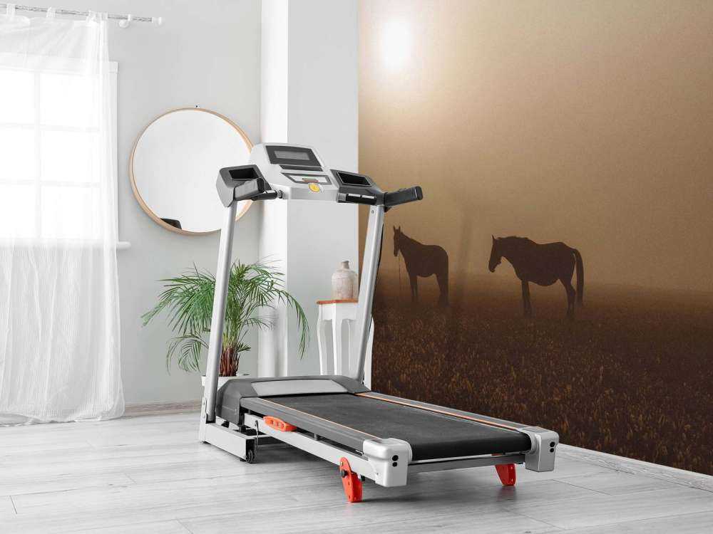 Chevaux dans la Prairie Brumeuse