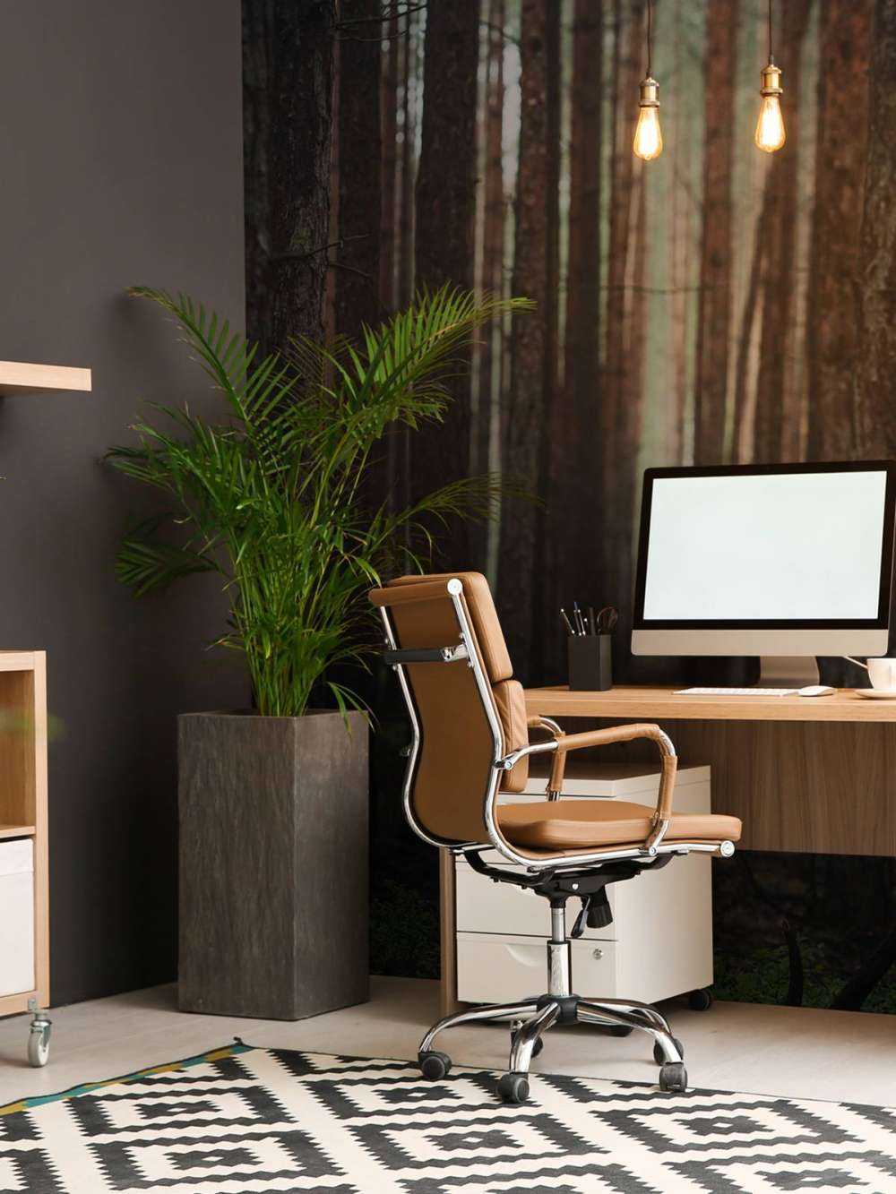 Sauvage&#x20;et&#x20;Myst&#xE8;re&#x20;entre&#x20;les&#x20;Arbres