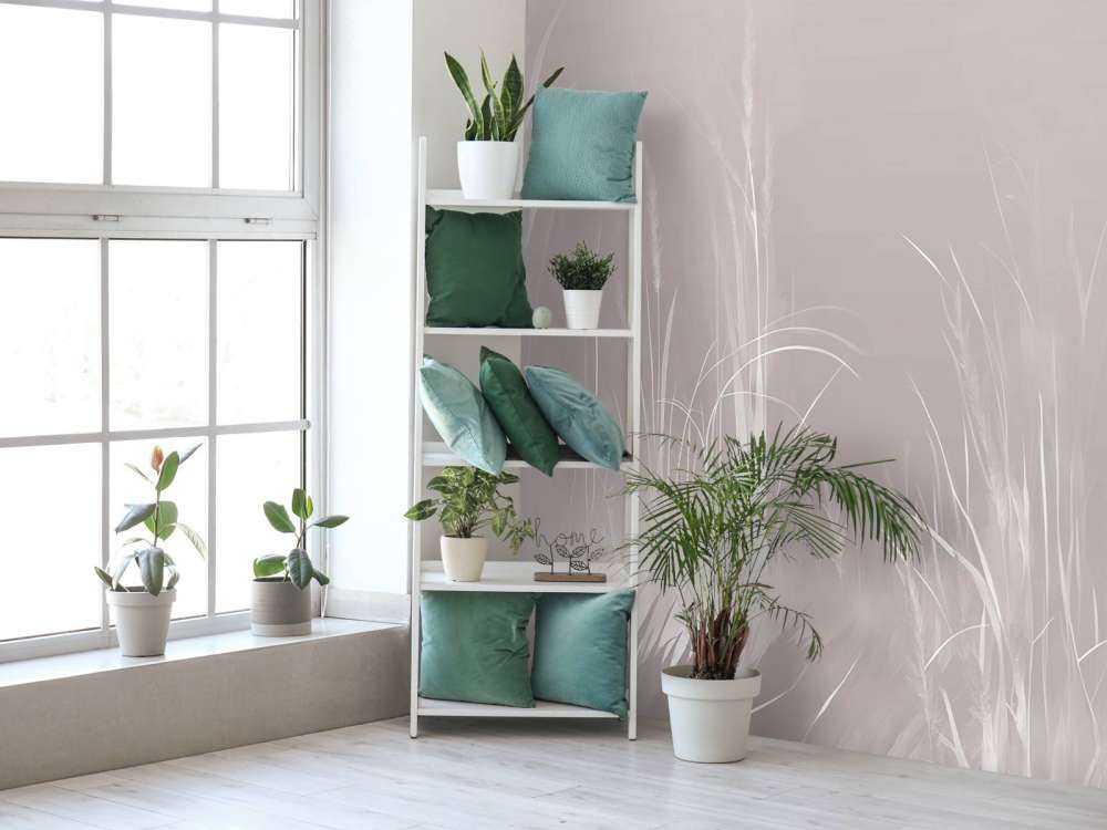 Nature Ambiance Brumeuse Bleue