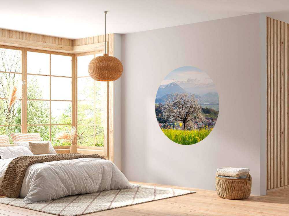 Arbre en fleurs dans la vallée de montagne au soleil de printemps.