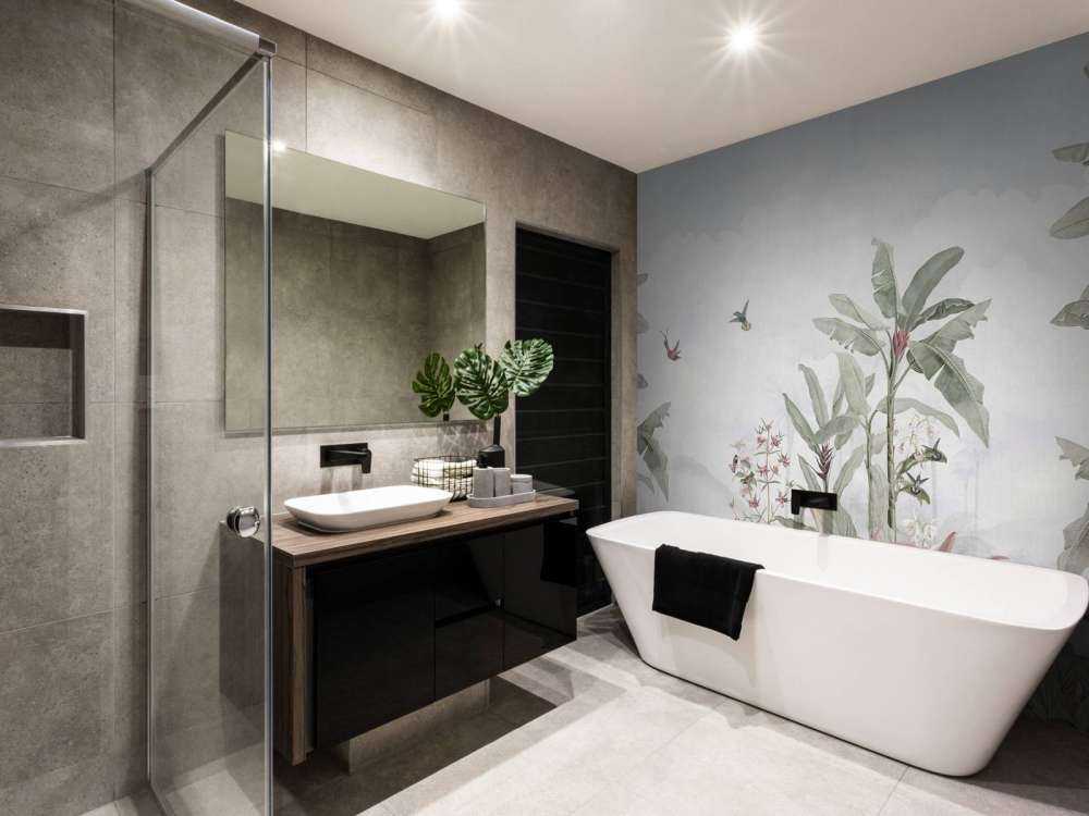 Colibris parmi les feuilles tropicales