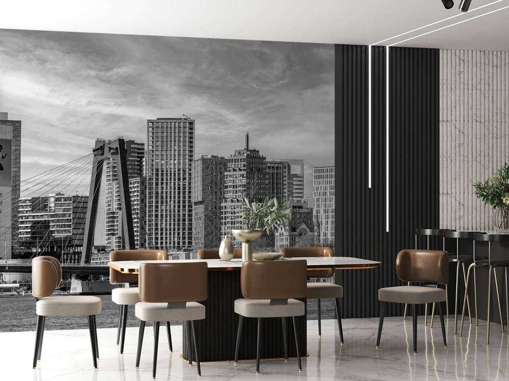 Skyline Noir-Blanc avec Willemsbrug