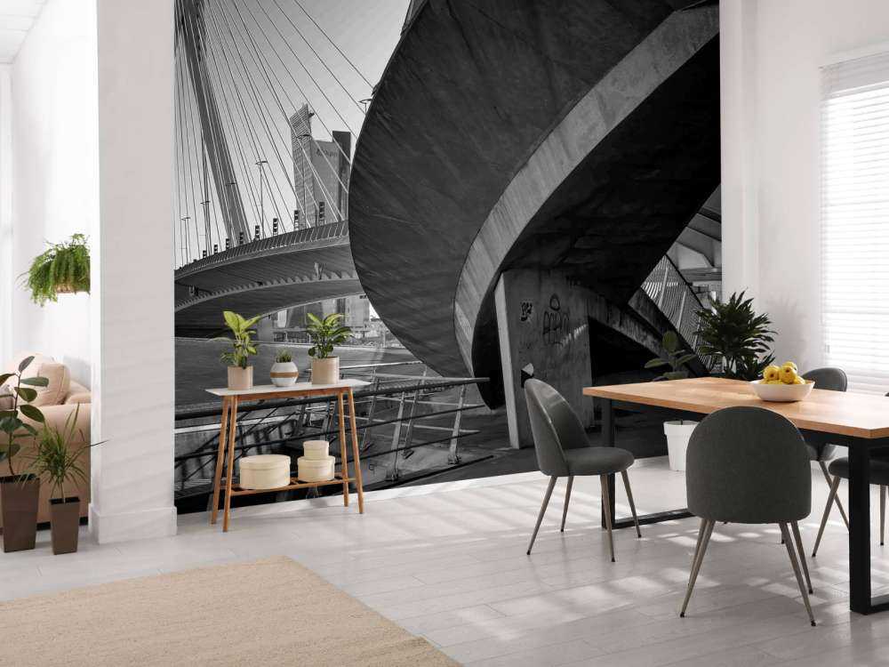 Erasmusbrug et architecture urbaine