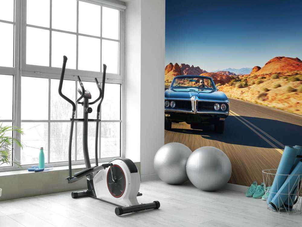 Voiture muscle dans un paysage américain