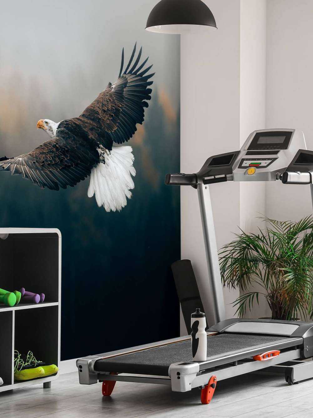 Pygargue à tête blanche au-dessus de la forêt