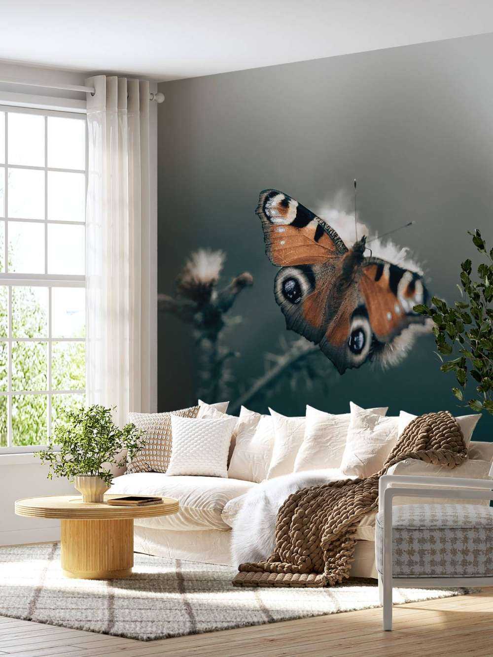 Modèle de la nature