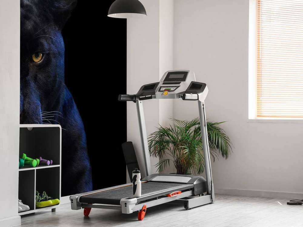 Gros plan sur une panthère