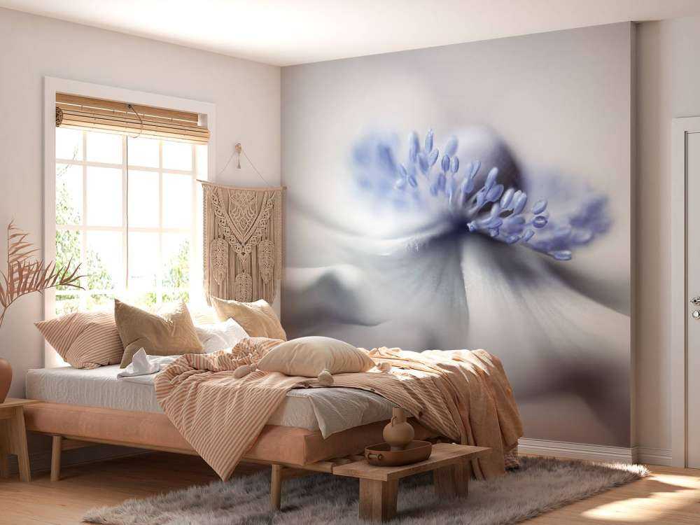Anemone spirit