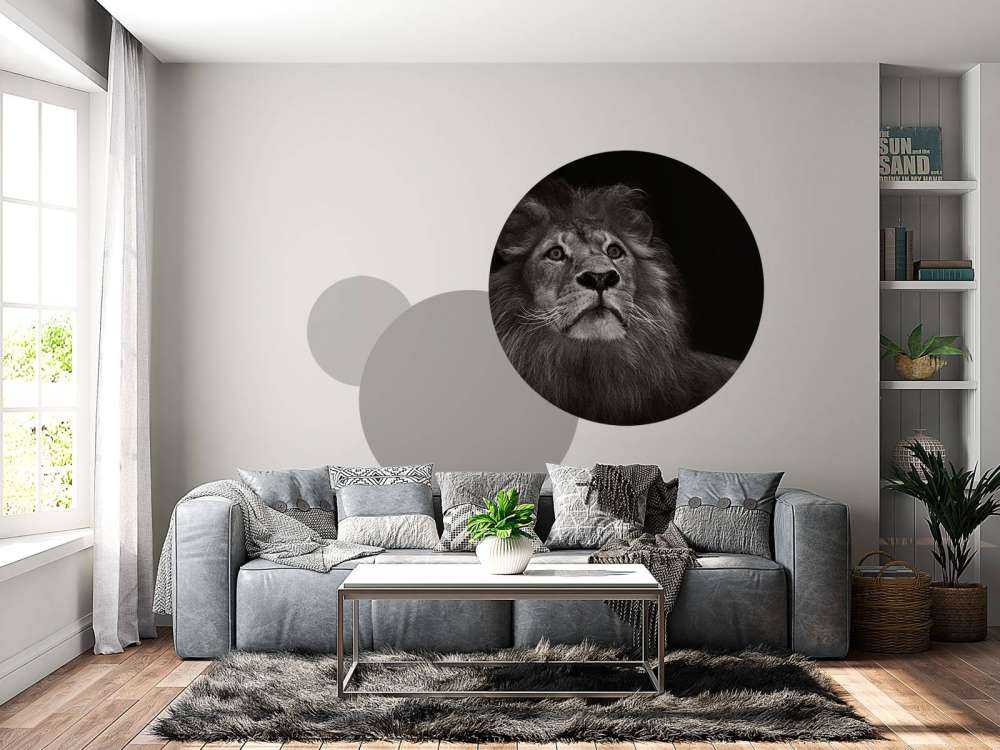 Lion sur fond noir