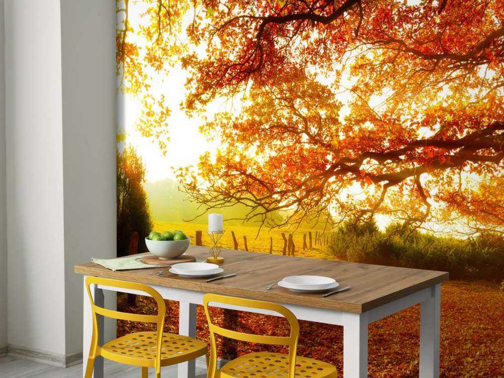 Paysage d'automne avec forêt et prairie