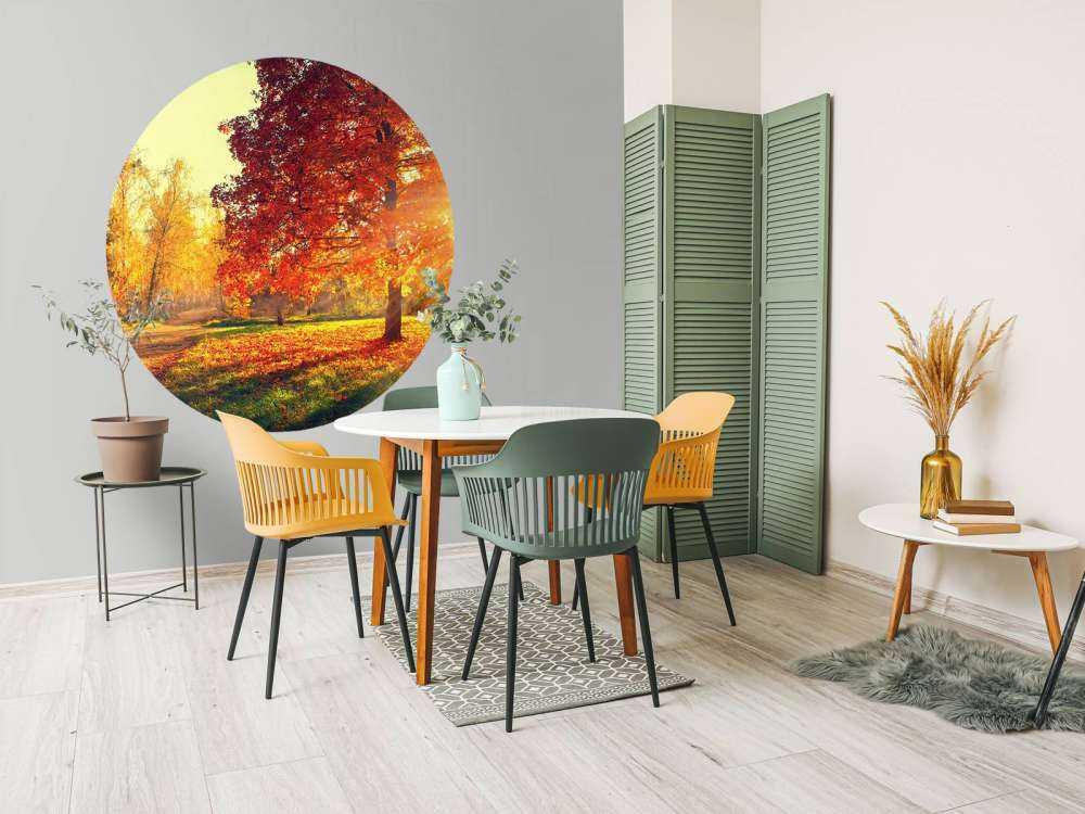 Arbres d'automne au soleil