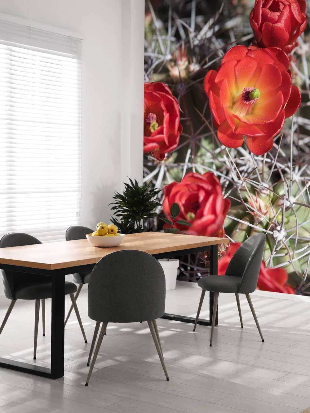 Fleurs de cactus rouge