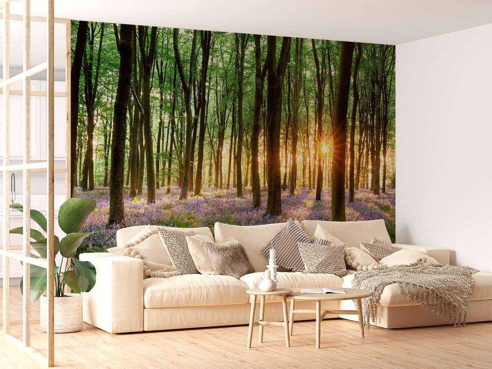 Chemin forestier au lever du soleil