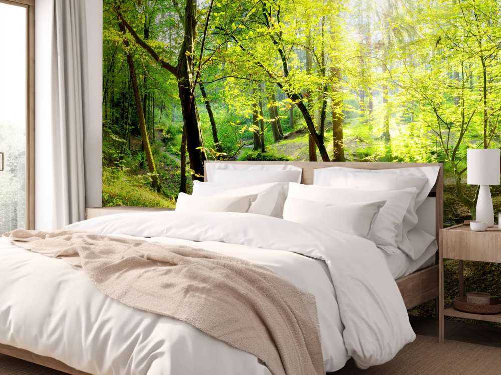 Forêt avec un ruisseau