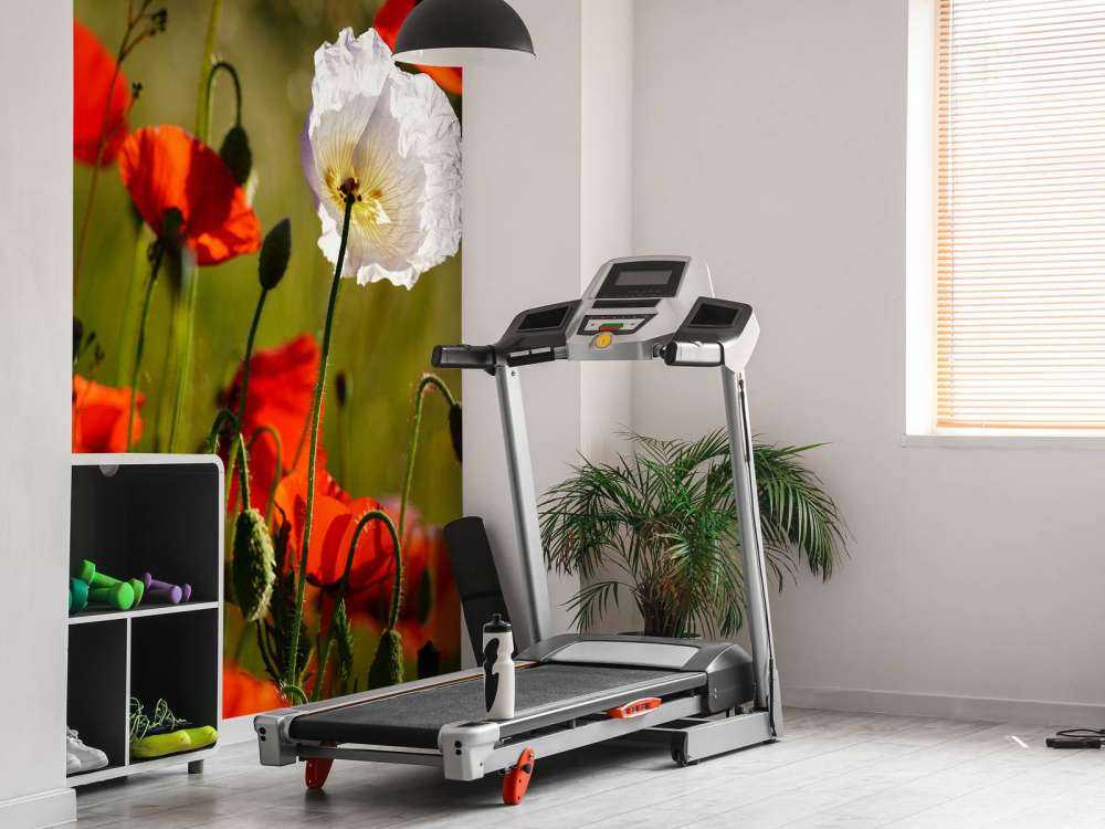 Groupe de coquelicots