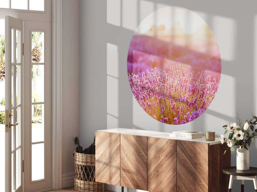 Gros plan sur des fleurs de lavande