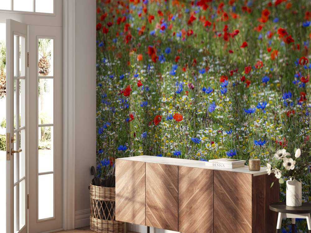 Champ plein de coquelicots