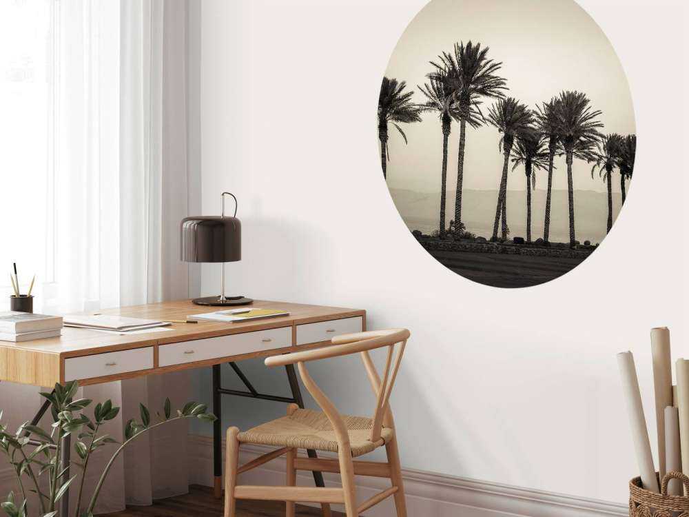 Palmiers noir et blanc