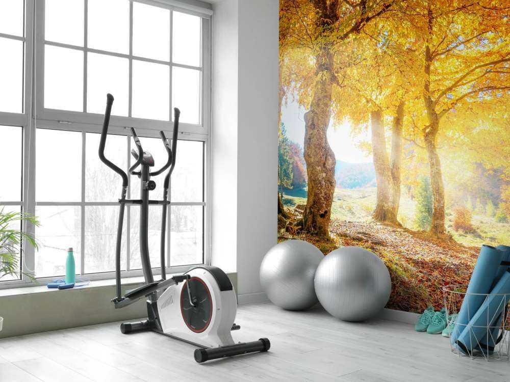 Chaleureux paysage d'automne