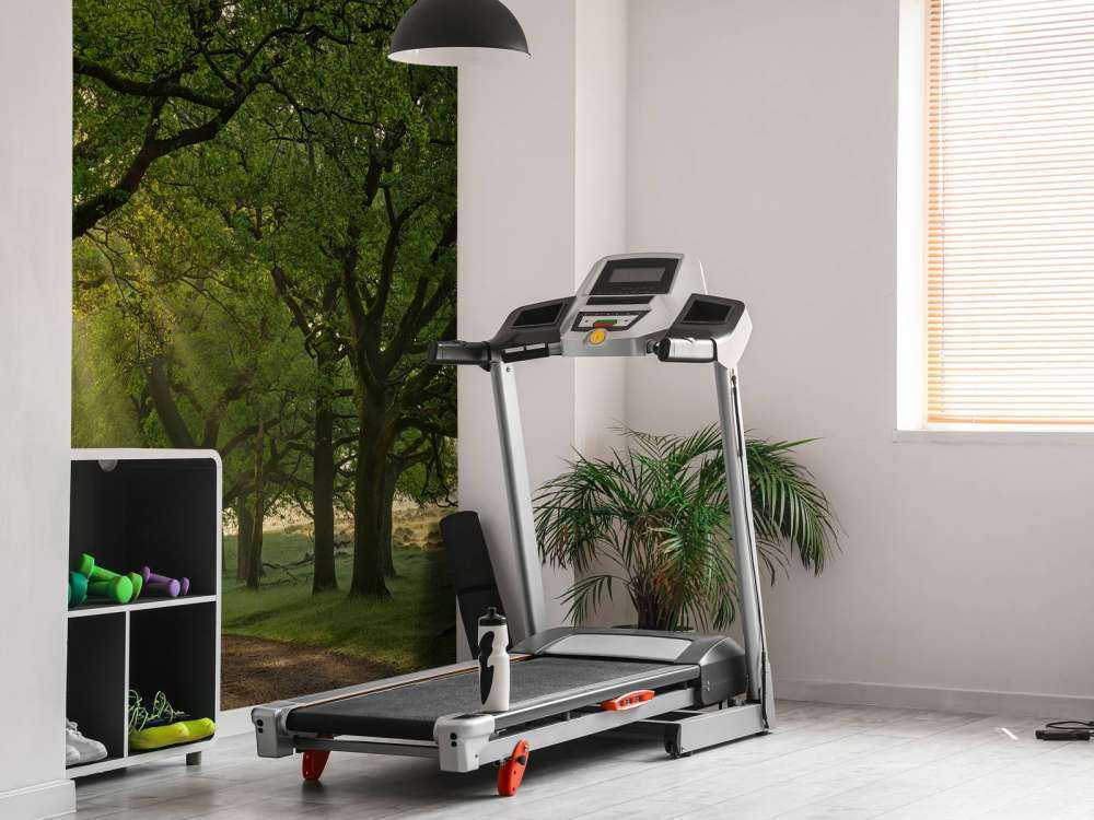 Chemin entre les chênes