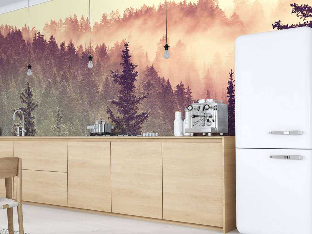 Brouillard dans la forêt