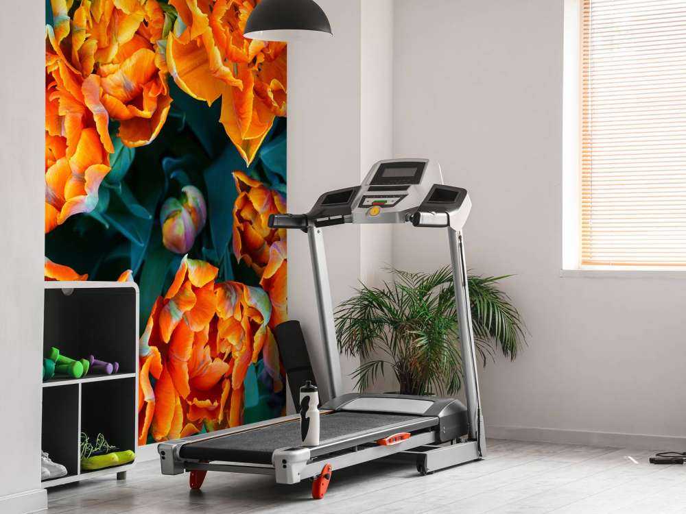 Gros plan sur des tulipes orange