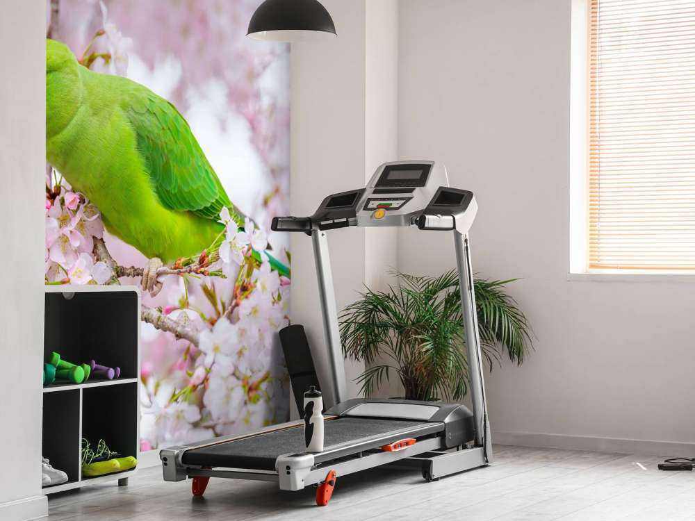 Perroquet assis sur un arbre en fleurs