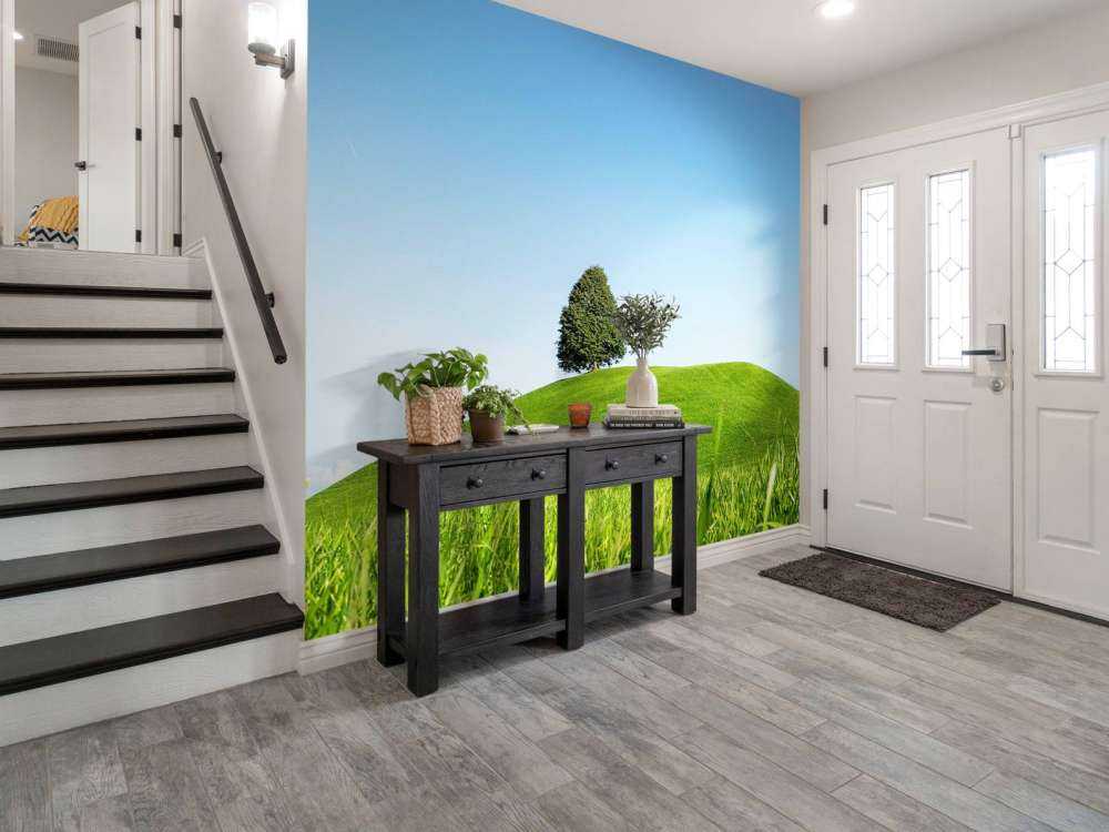 Arbre solitaire sur une colline verte