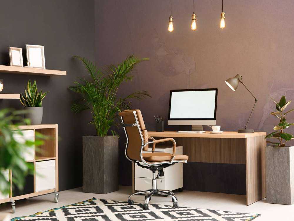 Géranium sauvage en neige - mauve