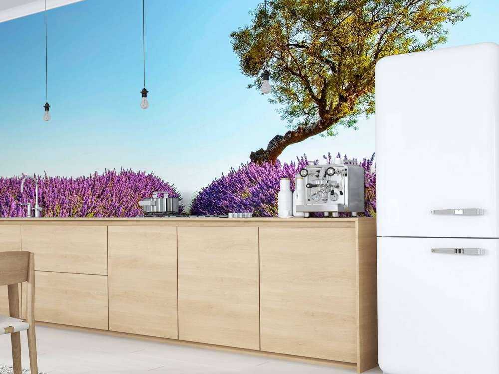 Sentier de lavande sous un ciel bleu.