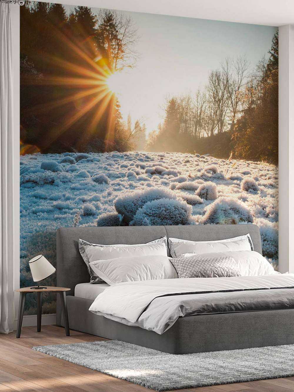 Matin glacial dans la forêt d'hiver