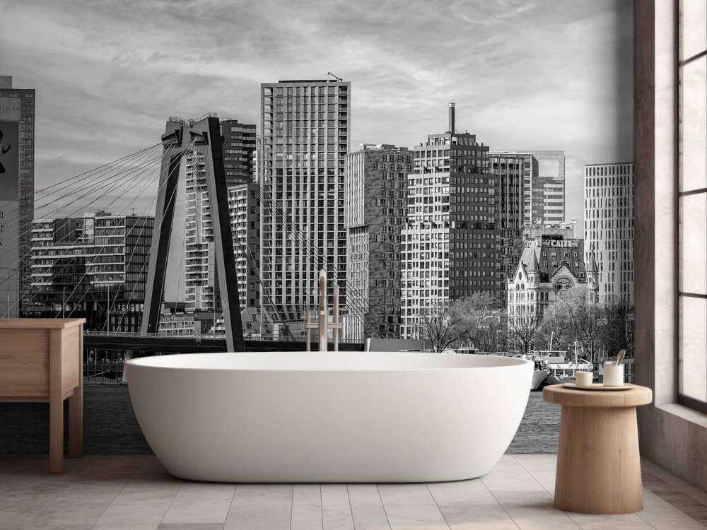 Skyline Noir-Blanc avec Willemsbrug