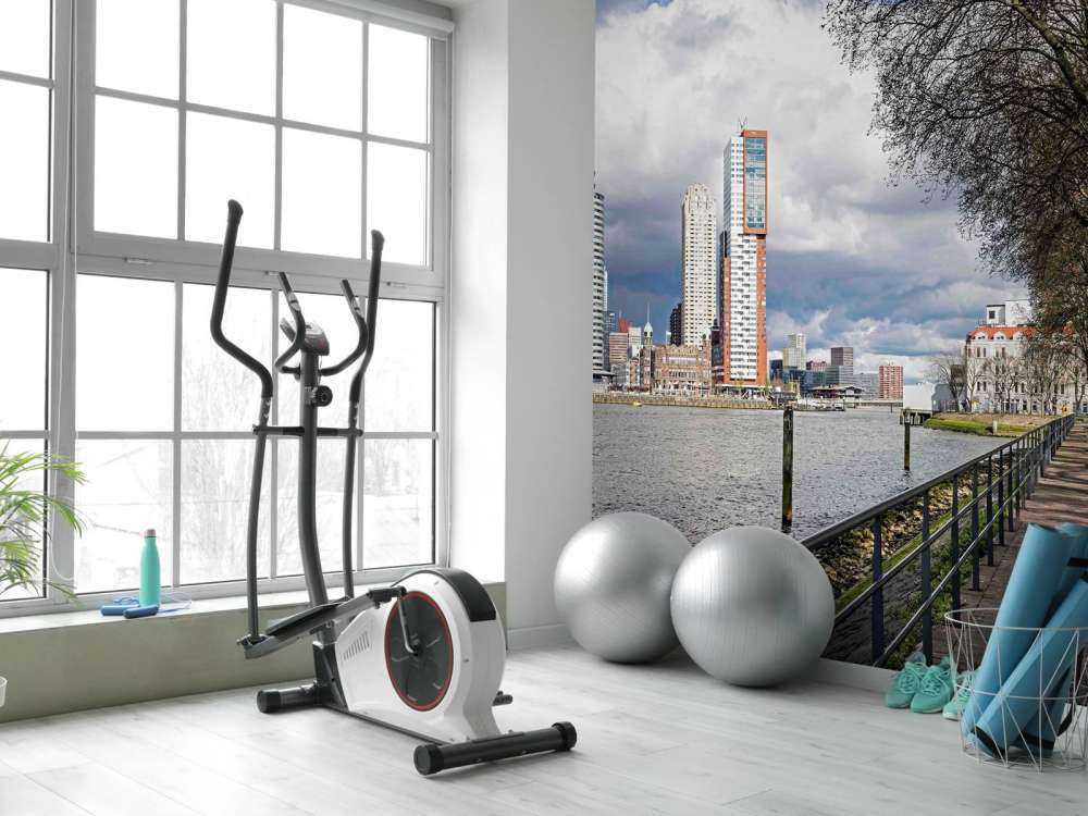 Skyline de Rotterdam depuis le quai