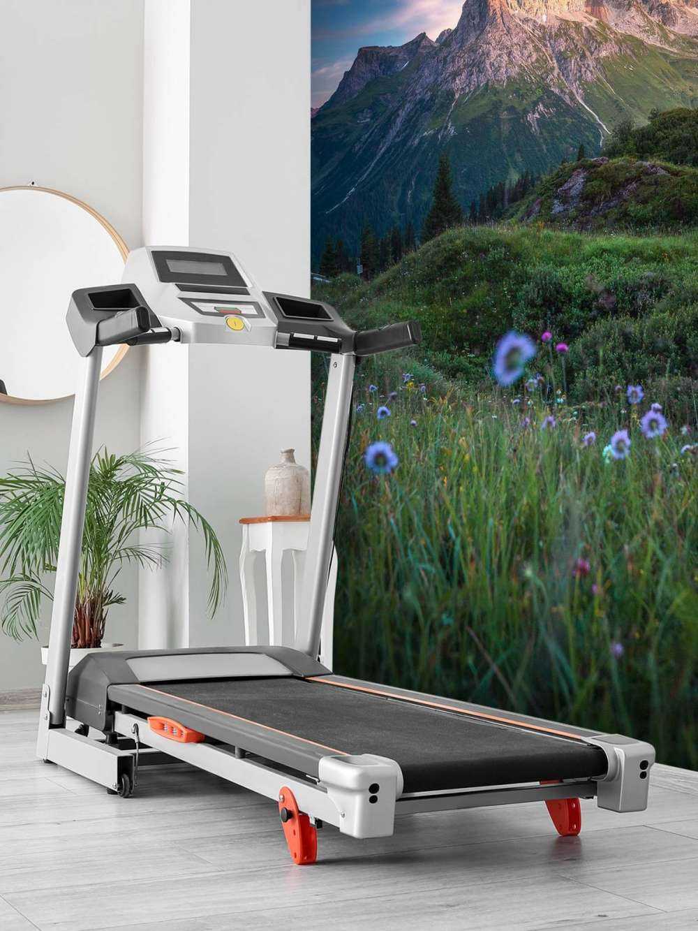 Lumière du soir sur la vallée des fleurs