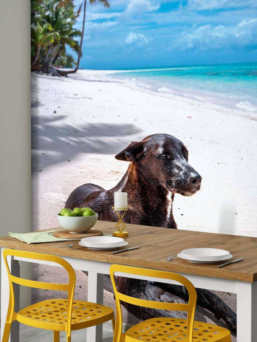 Chien noir sur une plage tropicale.