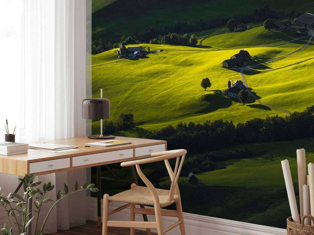 Collines vallonnées à la lumière du soir.