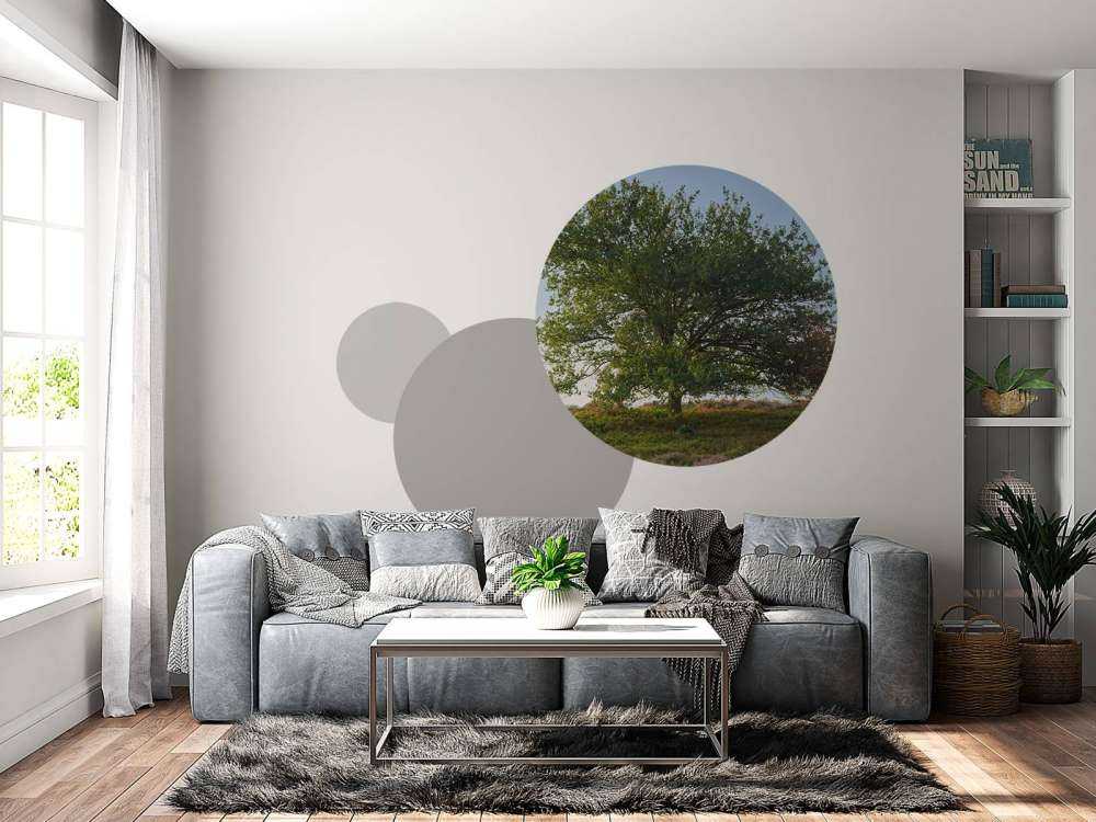 Arbre solitaire sur la lande