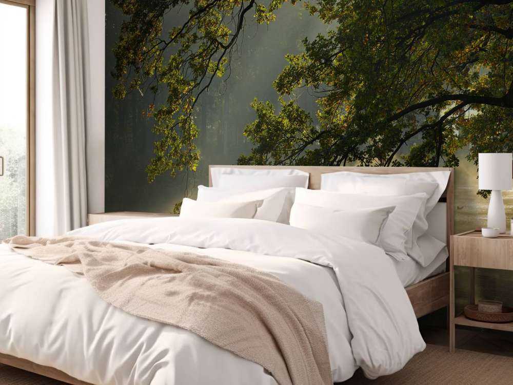 Branches en surplomb au-dessus de l'eau