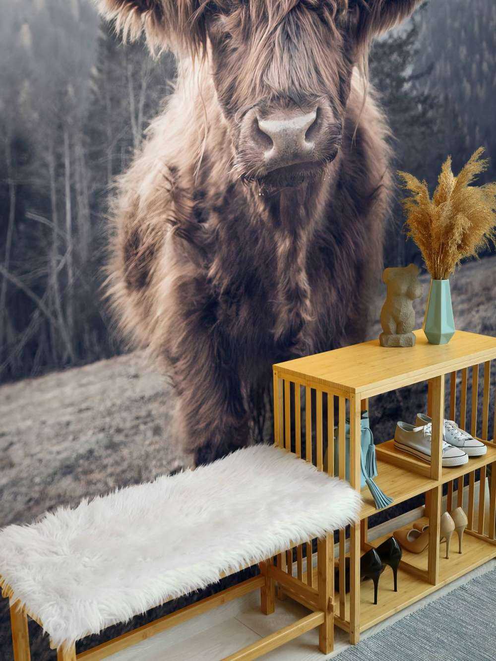 Le Highland écossais au bord de la forêt