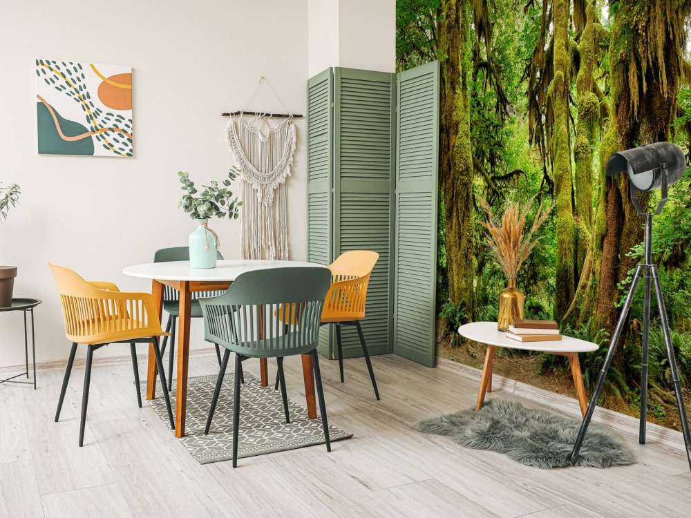 Ancienne forêt sauvage