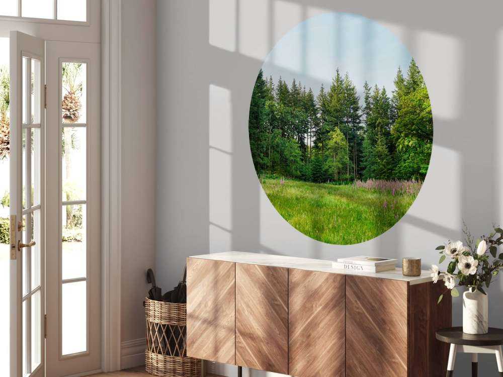 Espace ouvert dans une forêt