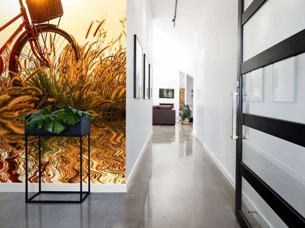 Vélo coucher du soleil