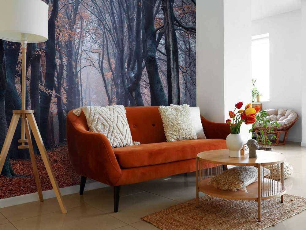 Chemin forestier avec des feuilles