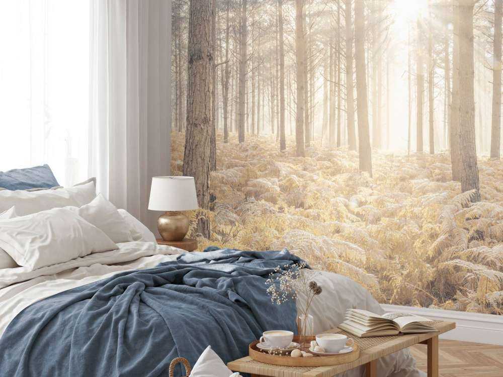 Rayons de soleil dans une forêt froide