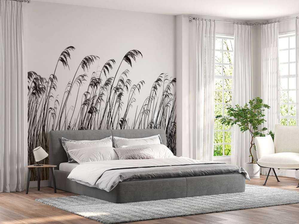 Roseau au bord de l'eau en noir et blanc