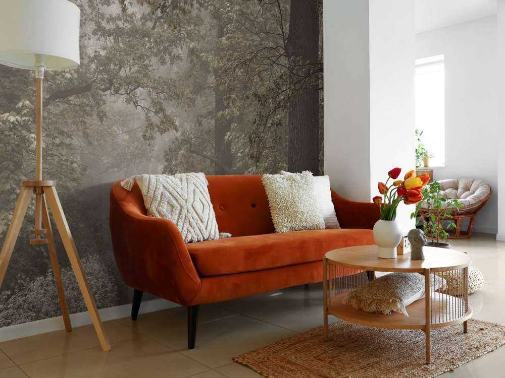 Chemin à travers la forêt brumeuse